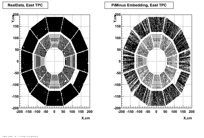 Hits-P04if-PiMinus_hitsXYeast_p2.gif