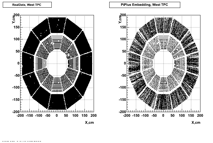 Hits-P04if-PiPlus_hitsXYwest_p2.gif