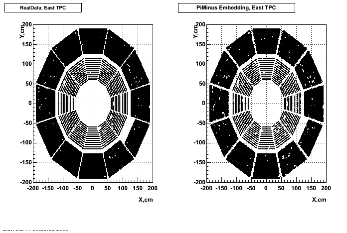 Hits-P05id_200cucu-PiMinus_hitsXYeast_p2.gif