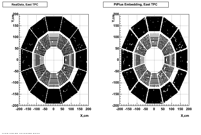 Hits-P05id_200cucu-PiPlus_hitsXYeast_p2.gif