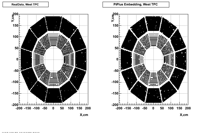 Hits-P05id_200cucu-PiPlus_hitsXYwest_p2.gif